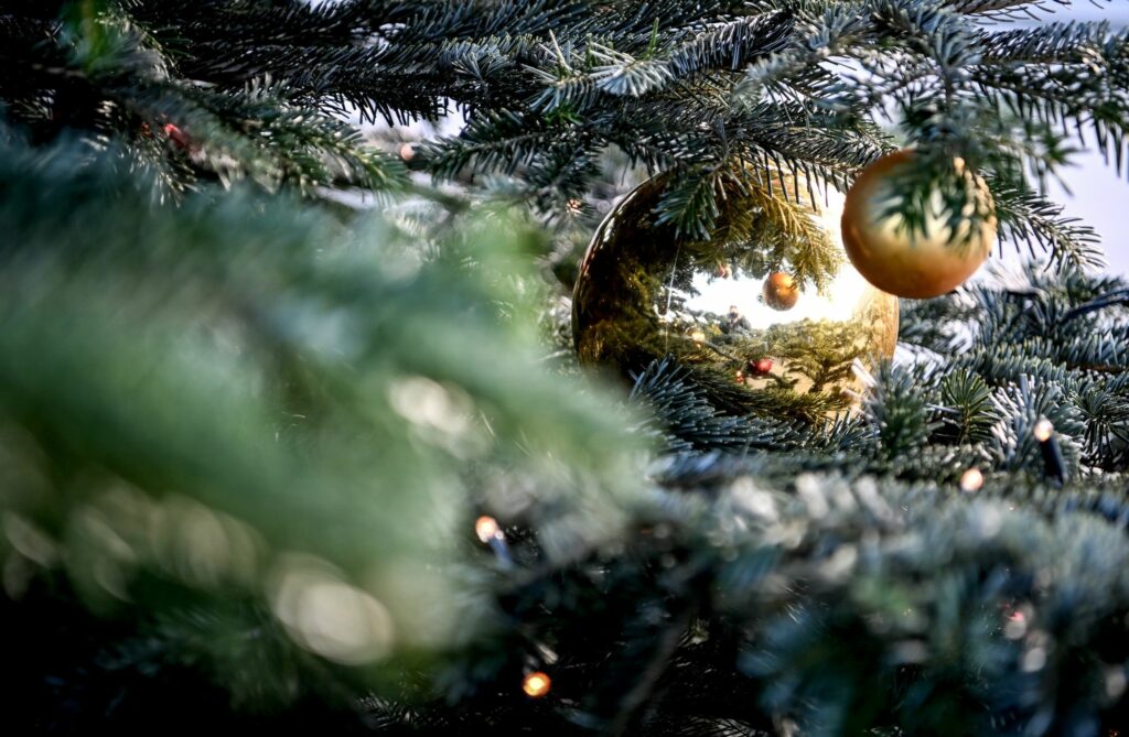 Weihnachtswerbung mit Mutter und Sohn als Internet-Hit